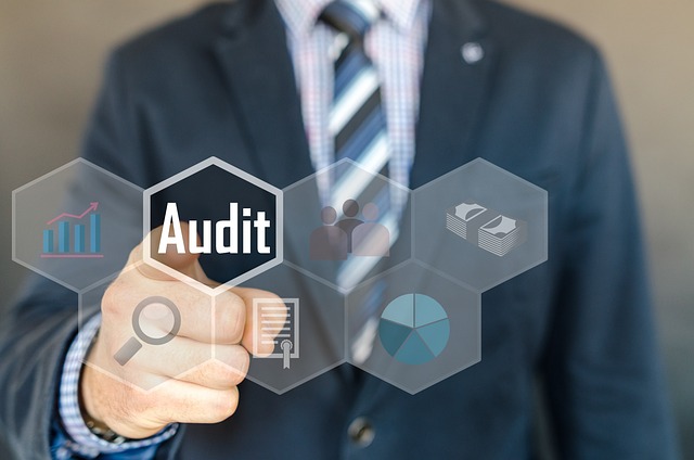 Audit Report Management System - Government Sri Lanka